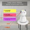 USB-C Rechargeable Cat Laser Toy