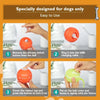 Motion Activated Automatic Rolling Dog Ball