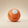 Motion Activated Automatic Rolling Dog Ball